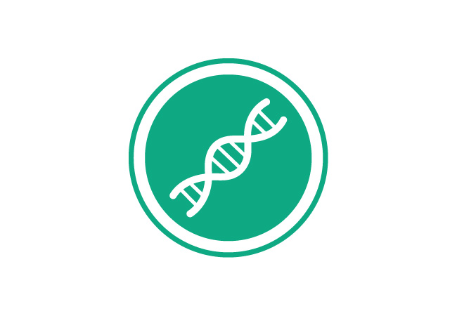 Ícone DNA Ícone DNA