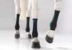 Paard met paardenbandages