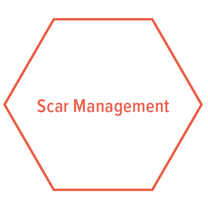Sechseck Scar Management