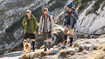 Three men with a dog in the mountains. The men are wearing compression stockings on their lower legs.