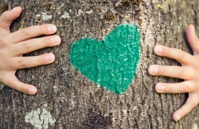 Am 25. April ist Tag des Baumes