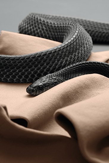 3. Image de style de vie Juzo Move  Juzo Move avec un serpent noir