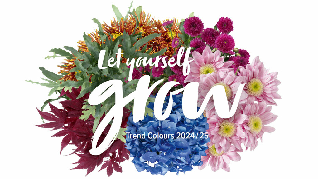 Mainteaser Trend Colours Trend Colours