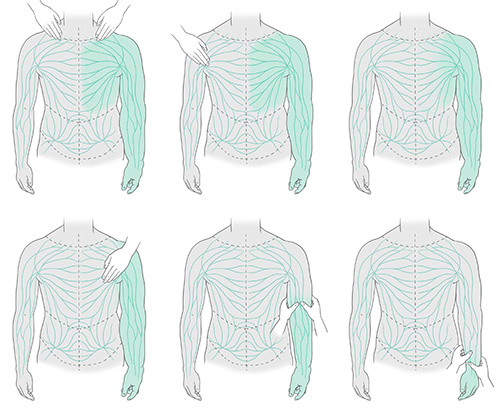 Drainage lymphatique et ses effets visualisés à différents endroits du système lymphatique sur le haut du corps