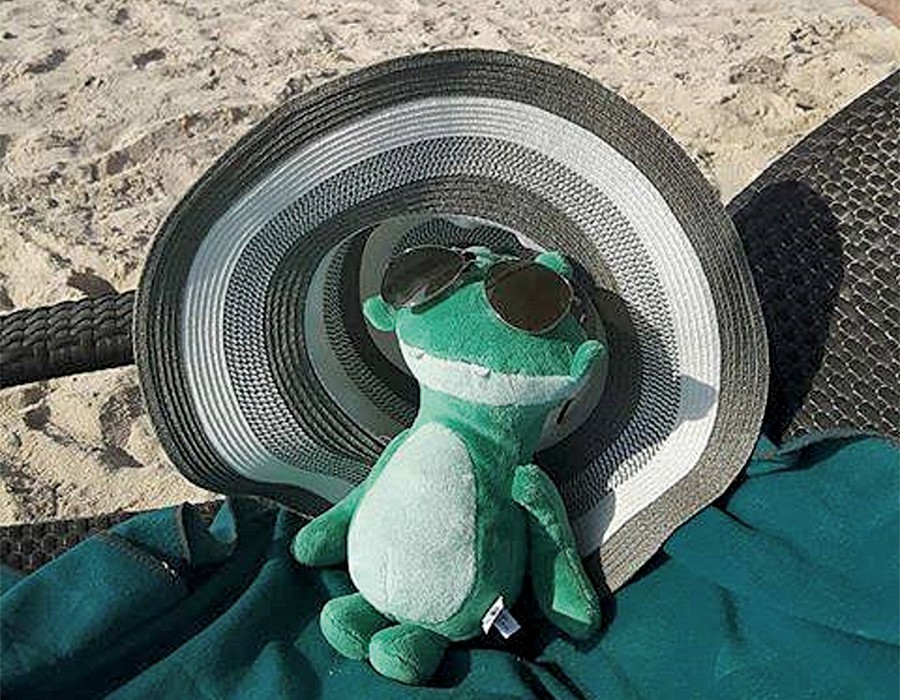 Julius op het strand Julius op het strand