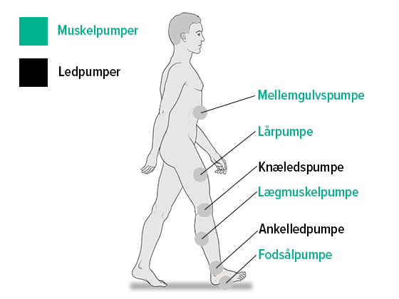 Muskel- og ledpumper Muskel- og ledpumper