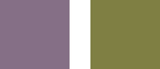 Trend Colours Cosy Violet und Olive Green