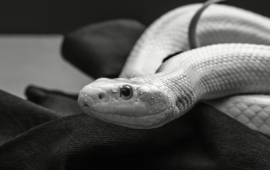 Hervorragende Klimaeigenschaften:  Hervorragende Klimaeigenschaften: