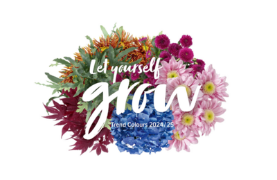 Neu ab 1. Februar 2024: Die sechs neuen Trend Colours von Juzo